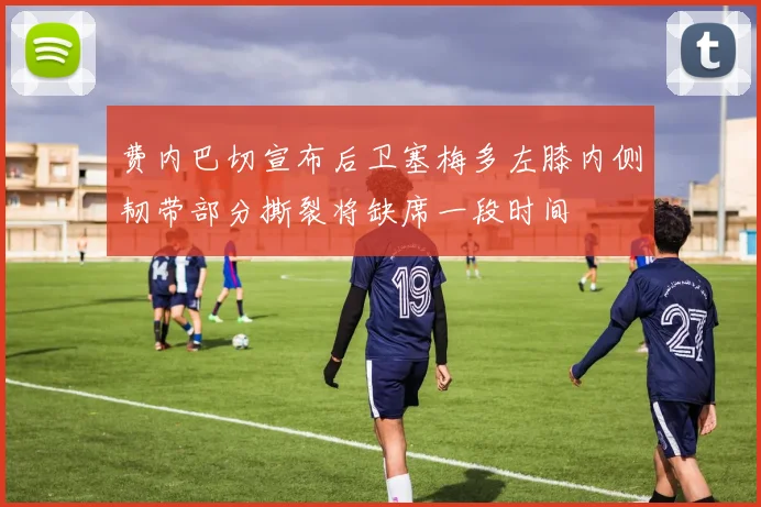 费内巴切宣布后卫塞梅多左膝内侧韧带部分撕裂将缺席一段时间