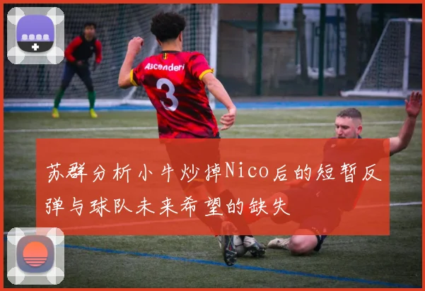 苏群分析小牛炒掉Nico后的短暂反弹与球队未来希望的缺失