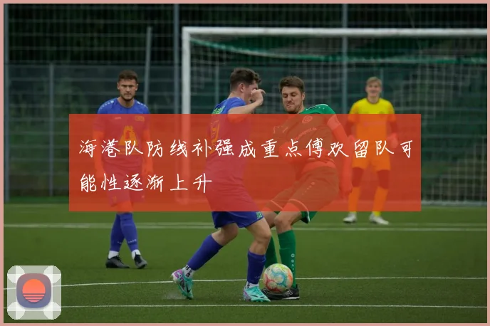 海港队防线补强成重点傅欢留队可能性逐渐上升